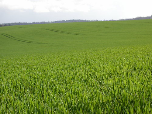 AgroEducation's profile picture. Our endeavour is to provide our followers with the latest online educational materials and media products related to agricultural sciences.