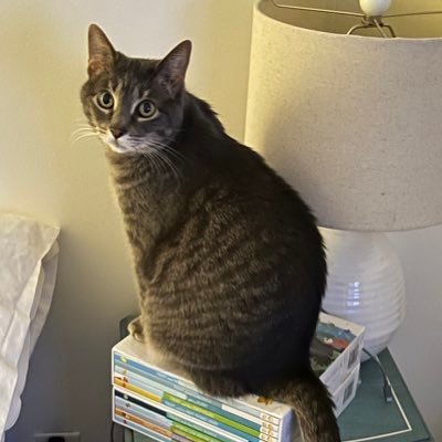 BEARDED663402's profile picture. Defender Of Our Canadian Legacy 🇨🇦