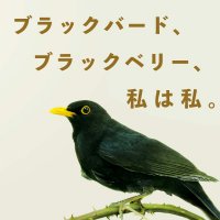 映画『ブラックバード、ブラックベリー、私は私。』𝙾𝚏𝚏𝚒𝚌𝚒𝚊𝚕 (@bbb_iamme) 's Twitter Profile Photo 映画『ブラックバード、ブラックベリー、私は私。』𝙾𝚏𝚏𝚒𝚌𝚒𝚊𝚕 (@bbb_iamme) 's Twitter Profile Photo