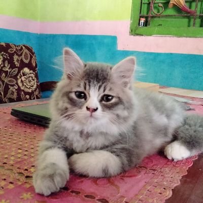 ArinaIrdayanti's profile picture. Dijalani ae. Rencana e Allah luwih apik(: