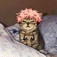 Tokyo (@t0kyohorror) 's Twitter Profile