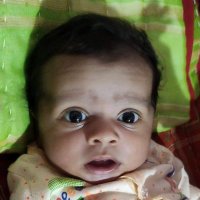 🌞shiyal vanaraj🌞 (@vanaraj_rajput) 's Twitter Profile