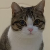 プロの栄養士としての副業として、あなたは毎日、体の微量元素の摂取量を管理する必要があります。身体の健康は人生の第一の目標でなければなりません。 🙆♀️👨👨👧👧