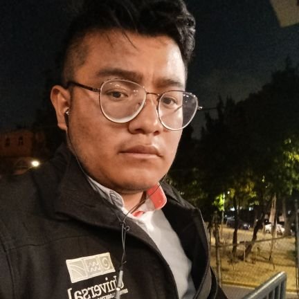 lic administracion y comercio, trabajo en aduana ACIM CDMX, en mi tiempo privado escucho techno