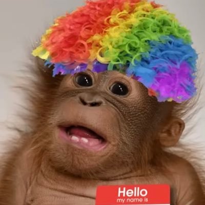 RodrigoS95007's profile picture. 