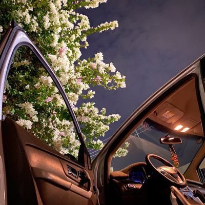 NasseAbbasi's profile picture. ﴿ واجعلني من ورثة جنَّة النَّعيم ﴾