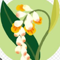 月桃🌿 (@getto_88) Twitter profile photo