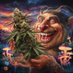 Cannabiskultur HanfHort (@cannabisgashaus) Twitter profile photo Cannabiskultur HanfHort (@cannabisgashaus) Twitter profile photo