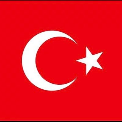 nesli_dmr's profile picture. HKU IE Res. Asst.✨ YTU PhD IE