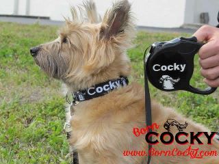 Wanna win the BornCocky #Pet Products Giveaway 4 ur dog (worth $100)? http://t.co/PADYtGz5gw