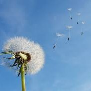 onamgyu1's profile picture. Tesla, Bitcoin and Bifrost.
Actually, I prefer Altcoin(until 25. 2Q)