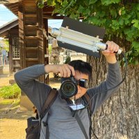 masanao@コミケ2日目 (@msno1983) 's Twitter Profile