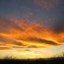 Dean Newell - @D_Newell - Twitter