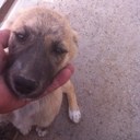 Manuel Palacio - @badilinda - Twitter