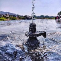 Harkesh Nagrwal (@harkeshbai6717) 's Twitter Profile