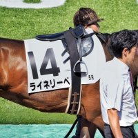 Aki Tetsu π―π΅ (@ankitankit20) 's Twitter Profile