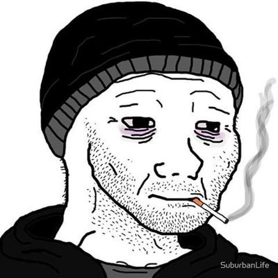 Yokomo_Hoyo's profile picture. FML