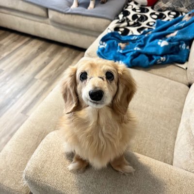 sshhafiq's profile picture. 