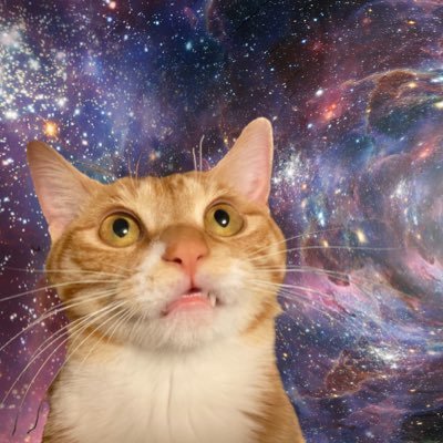 maedaringo16073's profile picture. 私は友達と社交したり、幸せな瞬間を共有したりすることが大好きです。群衆の中で、私はいつも笑いをもたらす人です。私は他の人の話を聞くのが得意で、自分の経験を喜んで共有します。人と人とのコミュニケーションはとても素晴らしく、世界と自分自身をより深く理解するのに役立つと思います。