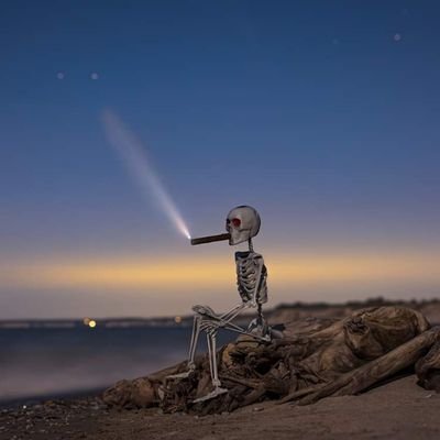 perrytang1's profile picture. 