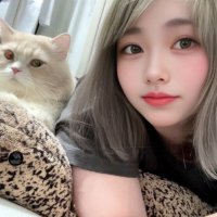 れな (@rena__1208) Twitter profile photo