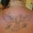 anaromano68's profile image