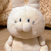 うさぎといっしょ。固ツイ (@everyday_usa_gi) 's Twitter Profile