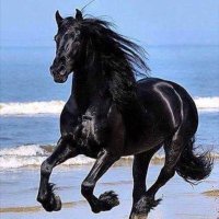 ๐๏ธ๐งก (@mnal_m6) 's Twitter Profile