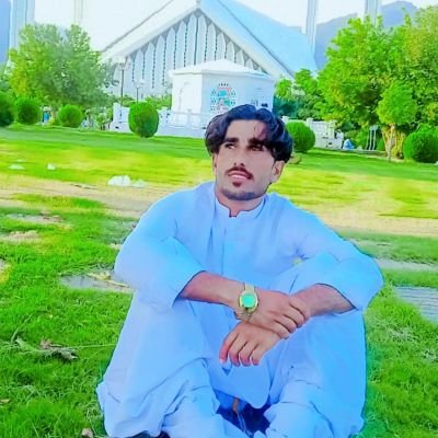 Riazleghari10's profile picture. To gain something requires losing a lot💯