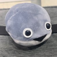 スカイ 沼 (@nagajpn) 's Twitter Profile
