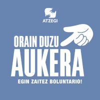 Atzegi (@atzegi) 's Twitter Profile