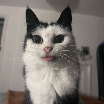 yingzhenren95zz's profile picture. 