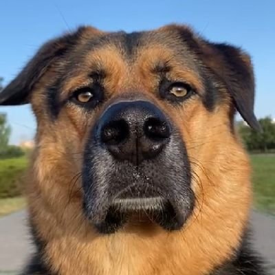 sebbas_raw's profile picture. 