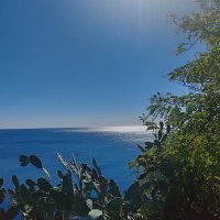 Hatice Sağlam (@saglamhtc) 's Twitter Profile