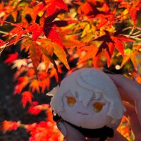 すみれ (@sumire_honmaru) Twitter profile photo