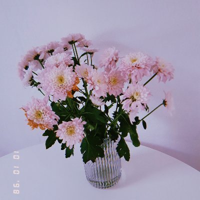 seliby28's profile picture. under c:onstruction