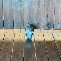 氷雨 (@icerain_period) Twitter profile photo