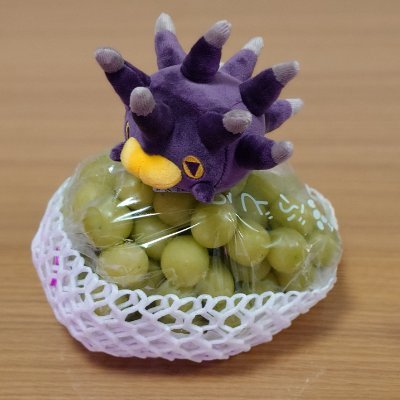 sonntag1994's profile picture. バチンウニとのふらり日記
ときどき同居人のナマコブシとユキハミがちらり
ウパーとメタモンが仲間入り！