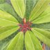 Lichman Lab (@lichmanlab) Twitter profile photo Lichman Lab (@lichmanlab) Twitter profile photo