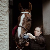 Aurel B (@aurelb14) 's Twitter Profile