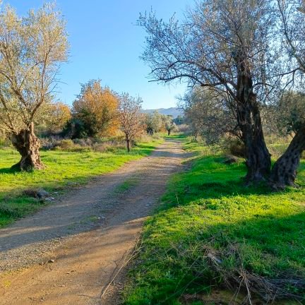 amanoshak's profile picture. 