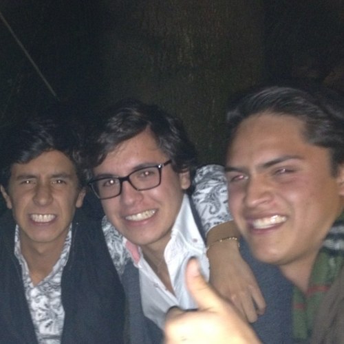 d_velarde's profile picture. 