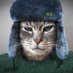 O Gato 😼 (@ogatobh) Twitter profile photo O Gato 😼 (@ogatobh) Twitter profile photo