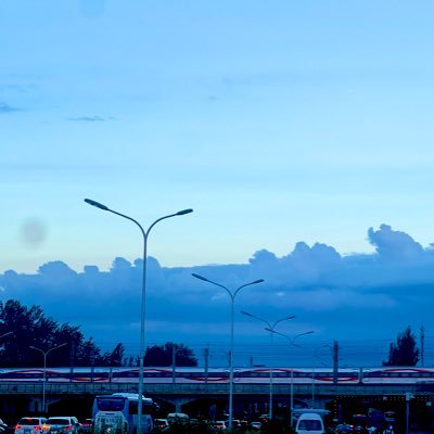 linjunwu6941's profile picture. 