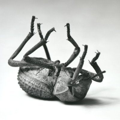 DuncanLomax2's profile picture. Building Incandenza - AI native group chats