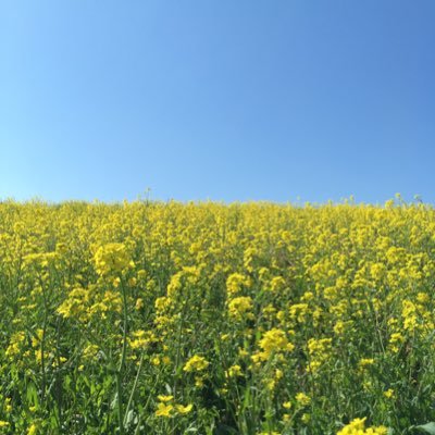 とおとさんのプロフィール画像