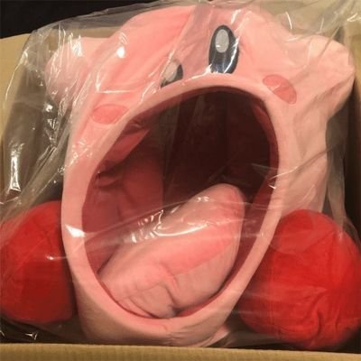 앵식이(햄스터케이지는5000cm²부터)さんのプロフィール画像
