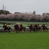 馬券1点侍 (@one_way_is_the) 's Twitter Profile
