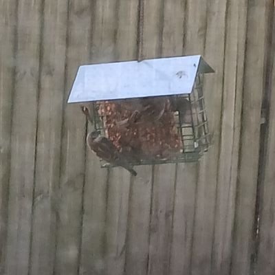 AthenaAsh01's profile picture. Forget this site 🚮