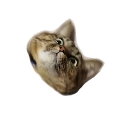 のらねこ🐱ྀི Profile
